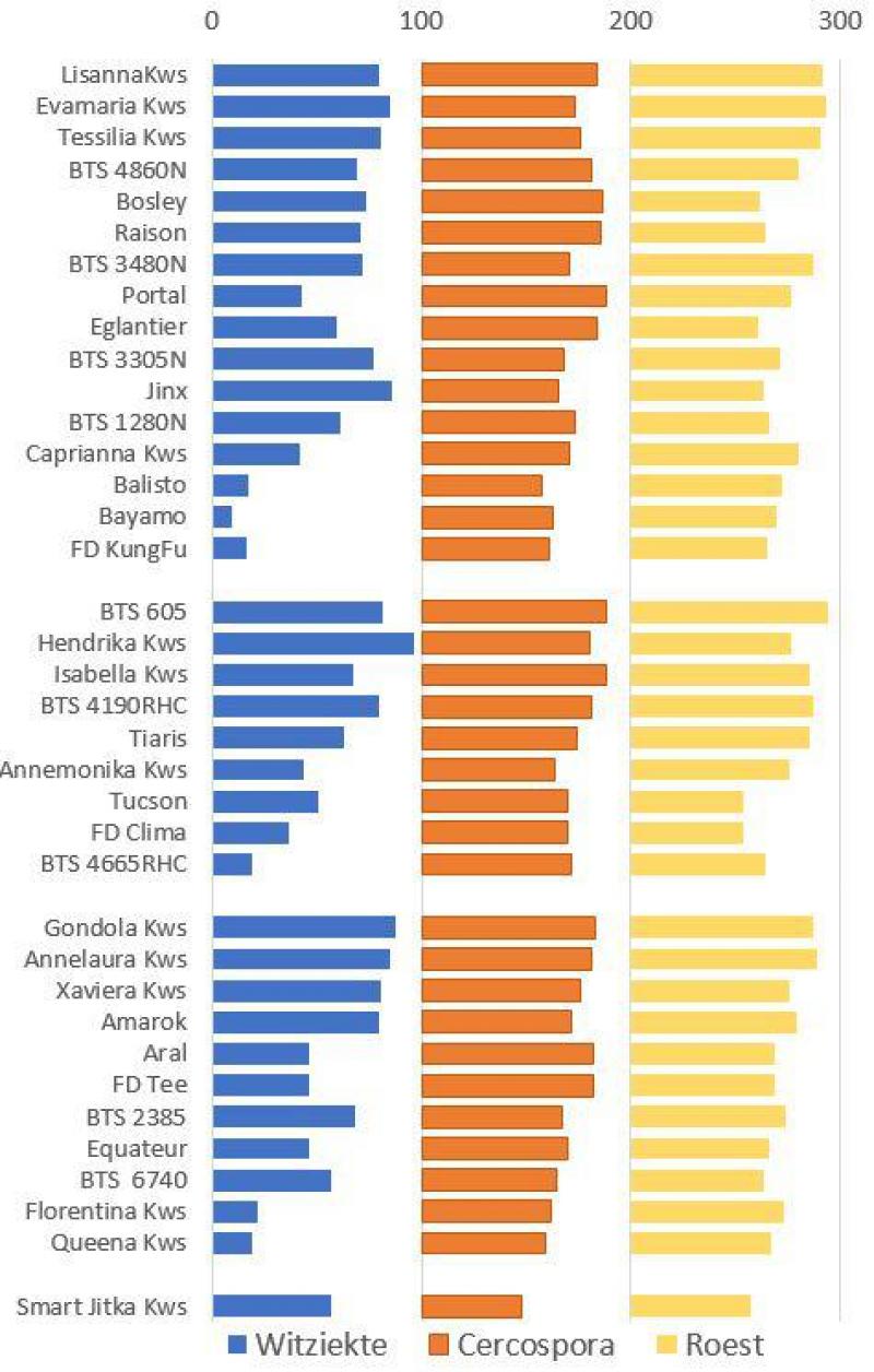 Figuur 3: Percentage van de bladgezondheid dat met rastolerantie wordt bekomen.