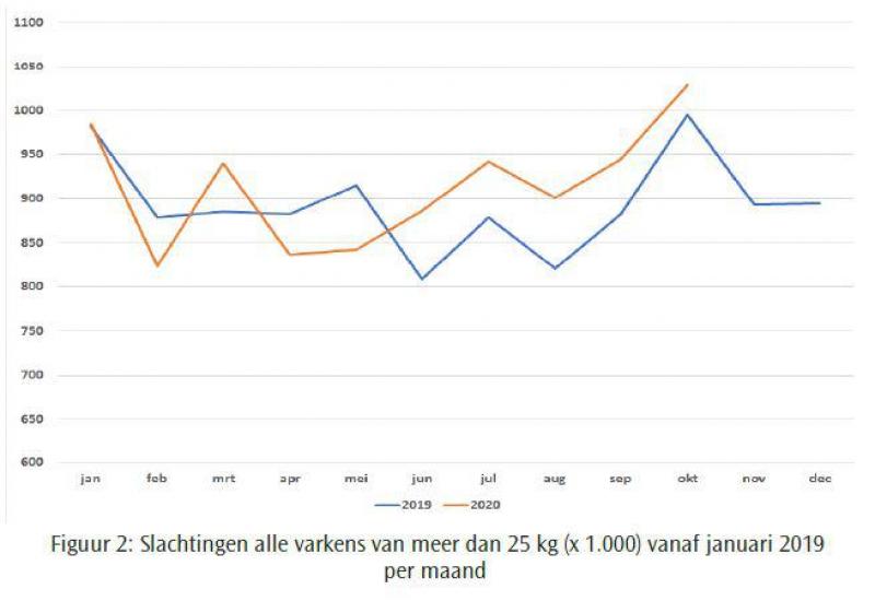 Figuur 2 Slachtingen alle varkens van meer dan 25 kg (x 1.000) vanaf januari 2019 per maand