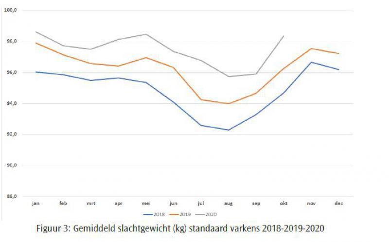 Figuur 3 Gemiddeld slachtgewicht (kg) standaard varkens 2018-2019-2020