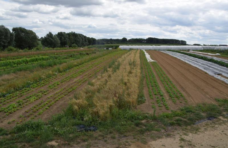 De principes rond agro-ecologie zijn overal in de wereld geldig, in grote en kleine  boerderijen, in gematigde regio's en in de tropen.