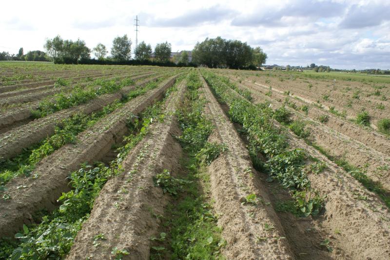 Biologische landbouw is een alternatief, maar over het algemeen is het niet realistisch  om nu alle chemische gewasbescherming te laten vallen.