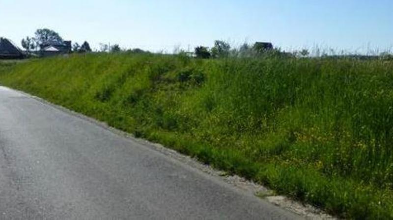 Berm langs Hoogkouter met oude bermravijn