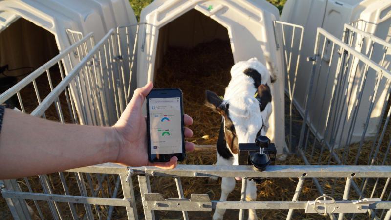 Het kalvermonitoringsysteem van Futuro Farming won niet alleen zilver, maar kreeg ook de Award voor dierenwelzijn.