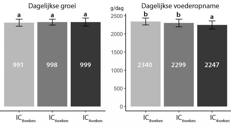 Figuur 1: Dagelijkse groei, dagelijkse voederopname en voederconversie van immunocastraten met een tweede vaccinatie op respectievelijk 8, 6 en 4 weken voor slacht.  (  a,b  waarden met een ander superscript verschillen significant (P < 0,05))
