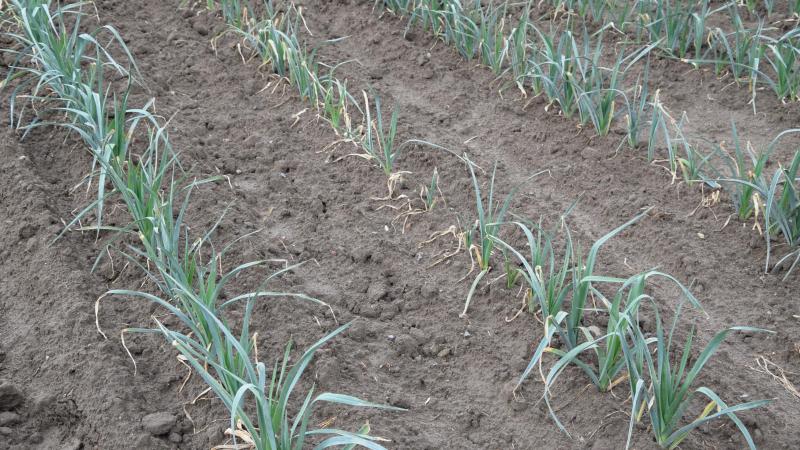 De voorbije jaren werden heel wat bedrijven geconfronteerd met droogteschade.