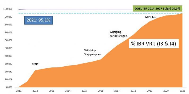 De figuur geeft de evolutie van het percentage IBR-vrije bedrijven weer. Dankzij het stappenplan IBR is momenteel al meer dan 95% van de rundveebedrijven IBR-vrij.