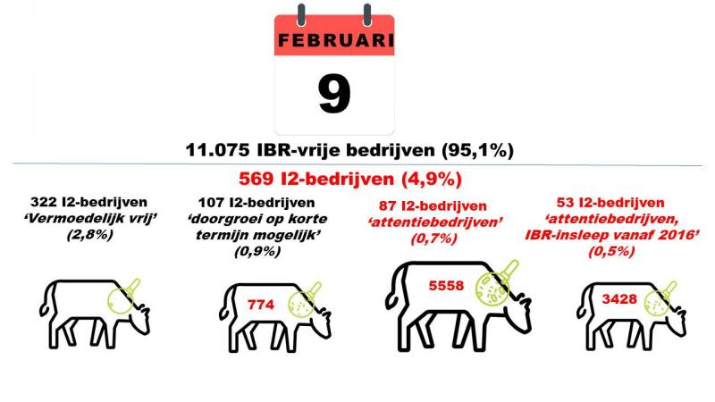 Figuur: Overzicht van de verdeling van de I2-bedrijven en aantal IBR-dragers(In deze cijfers zijn de I2-afmestbedrijven niet opgenomen).