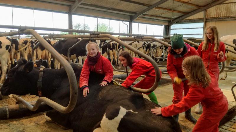 “De kinderen kunnen de stallen in, doen er kleine klusjes en ravotten in de stro, met de gocarts,… Al wat ze thuis niet hebben, bieden we hier aan.”