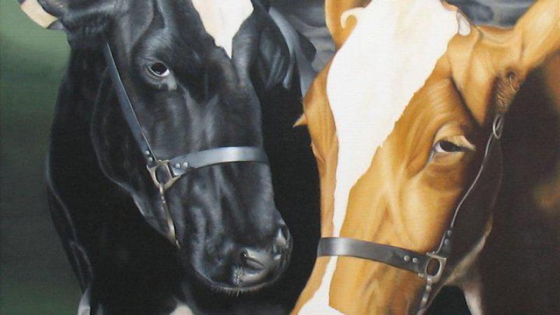In de woonkamer hangt een schilderij van Nessaja and Peace, moeder en dochter. Peace (roodbont) is geboren via embryotransplantatie en was de eerste vaars op het bedrijf die meer dan 50 l per dag gaf.