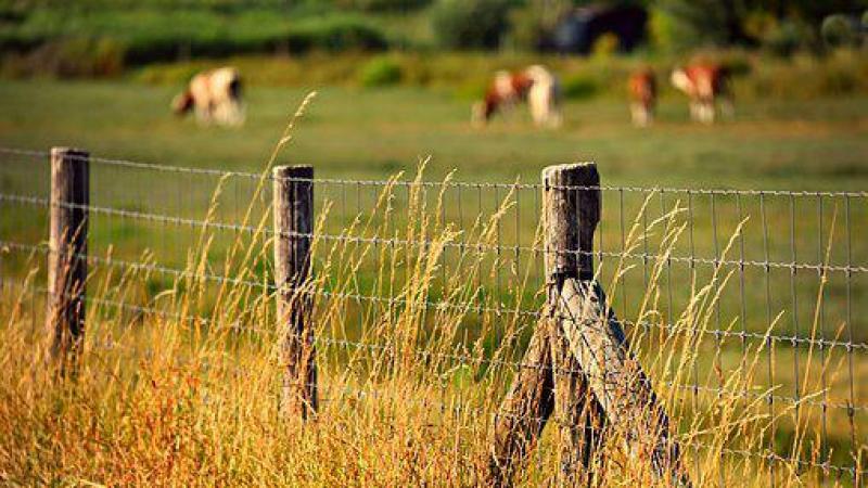 Dode afsluitingen mogen tot aan de perceelsgrens worden opgericht. Dat geldt bijvoorbeeld voor afsluitingen met palen en gewone draad of prikkeldraad.