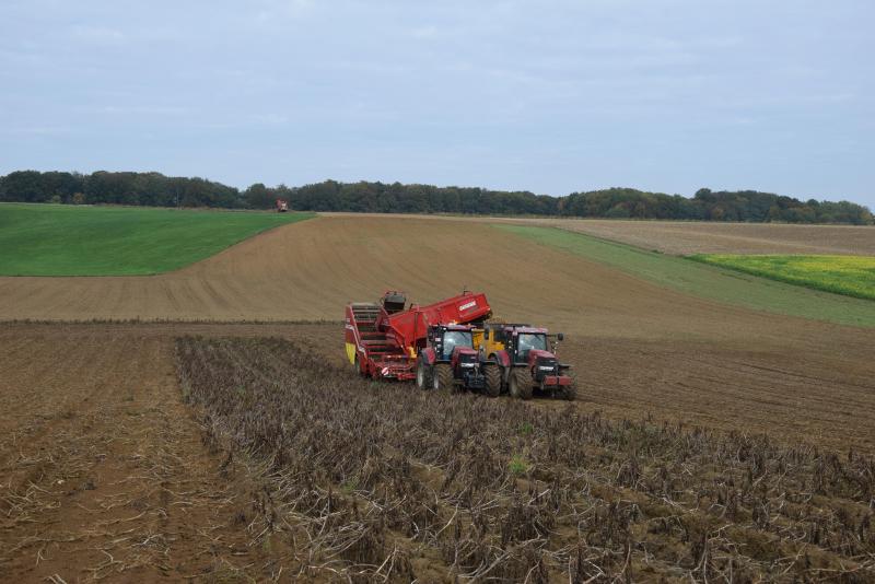 De eisen die gesteld worden aan chipsaardappelen zijn streng.