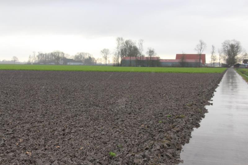 Michiel van Andel beschikt over 50 ha land. Uien en witloof zijn de hoofdteelten.