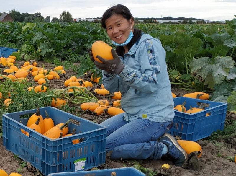 “Zeg niet zomaar pompoen tegen een Milagro-pompoen. Daar zit een heel menselijk verhaal achter.”