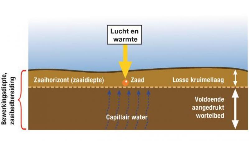 Kruimelig zaaibed en vast wortelbed voor een vlotte start