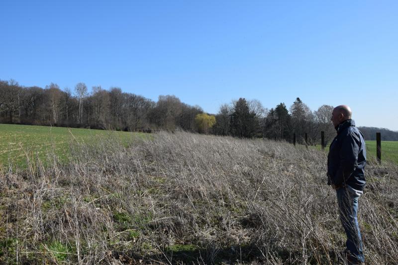 Eddy Decoster bekijkt de uitgebloeide bloemenrand begin maart, gelegen naast wintertarwe.