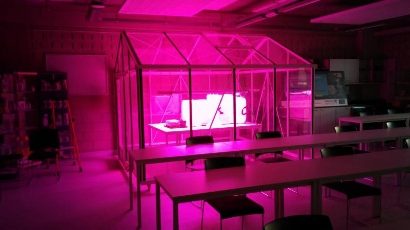 In de serre in de klas worden verschillende problemen vanuit het werkveld besproken, zoals ziekten en (a)biotische stress.
