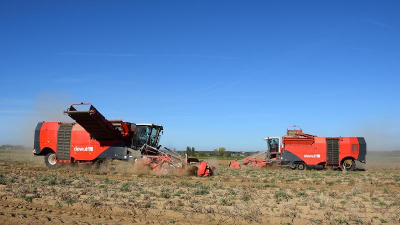 Opmerkelijk is dat de verkoop van aardappelrooiers enkel maar toenam de voorbije 5 jaar op rij.
