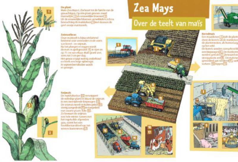 Een gratis zeildoek toont weetjes over de teelt en het gebruik van maïs.