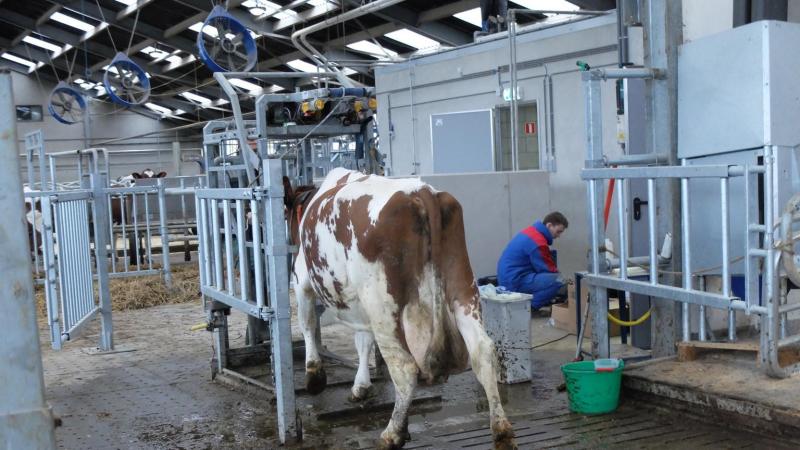 Door snel in te grijpen bij klauwproblemen zorg je ervoor dat de koeien naar de robot blijven lopen.