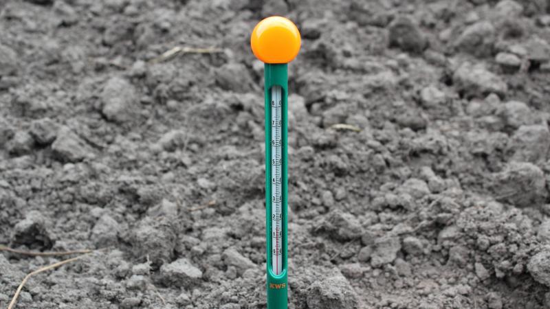 Zaai bij een bodemtemperatuur op zaaidiepte van minimaal 10 graden Celsius