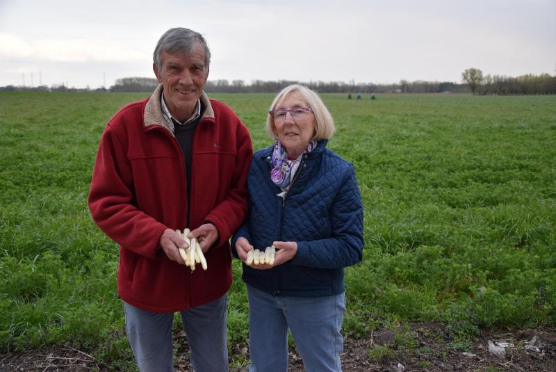 Rose Marie Amelinckx en haar man Gilbert De Backer verkopen ook witte asperges.