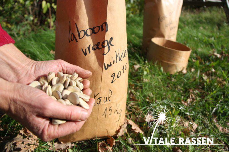 Vitale Rassen.