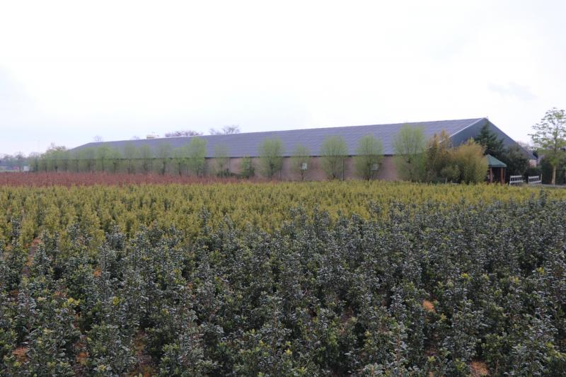 Op de plaats van deze 100 m lange vleesvarkensstal wil de familie graag 24-uurs zorg ontwikkelen.