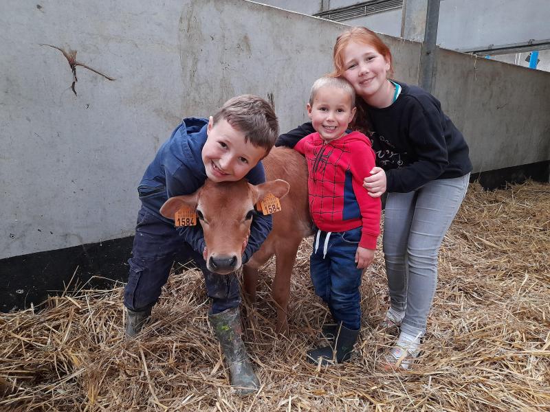 Kwinthe (7), Thieme (4) en Mirthe (9) met hun Jersey-knuffelkalfje.