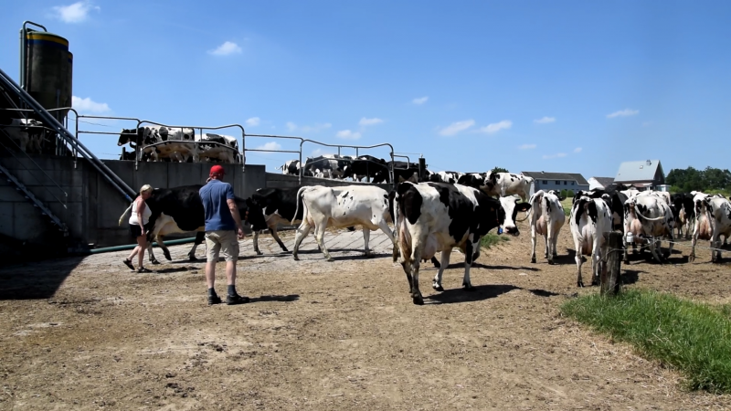 Ieder heeft zijn verantwoordelijkheid, maar iedereen helpt elkaar wanneer het nodig is
