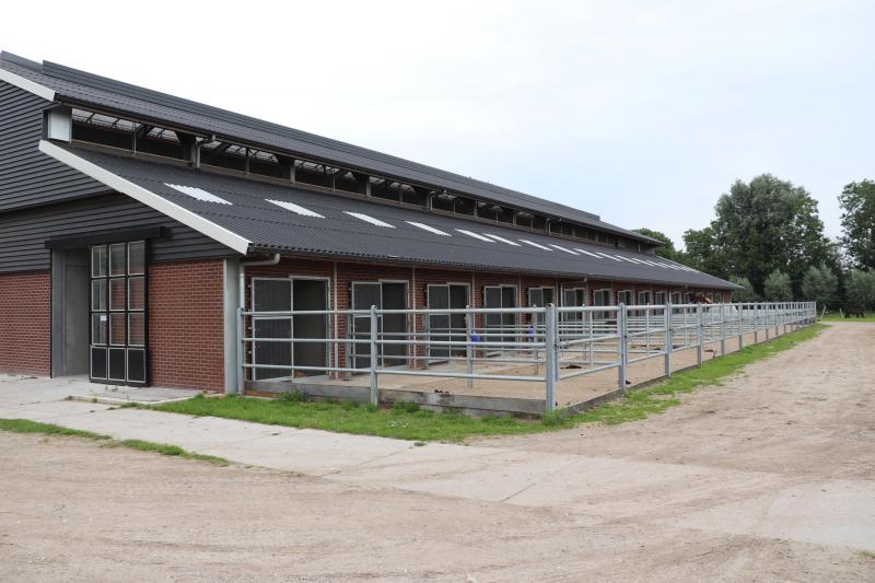 Aan de linkerkant van de nieuwe vleesveestal zitten over de gehele lengte paardenboxen. Iedere paardenbox heeft uitloop.