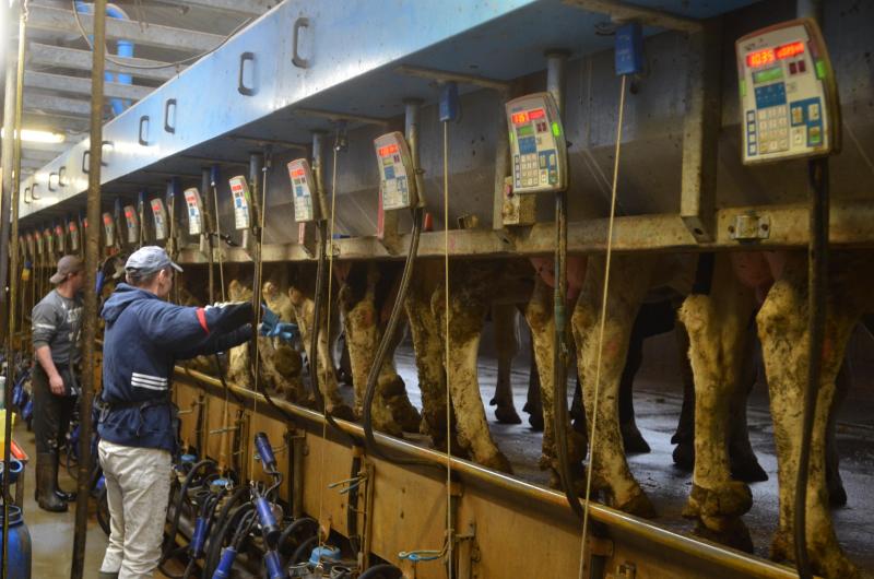 Het welzijn van het dier staat voorop, maar het welzijn van de veehouder en werknemers moet ook centraal staan.  De organisatie moet zo uitgedacht worden dat alle mensen die er werken, worden ontlast.