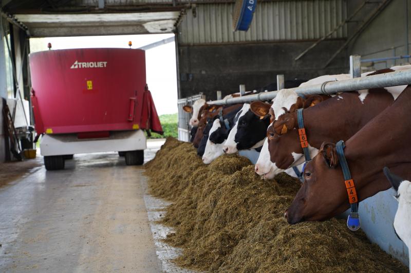 Tijdens Dag van de Landbouw is iedereen welkom op dit bedrijf.