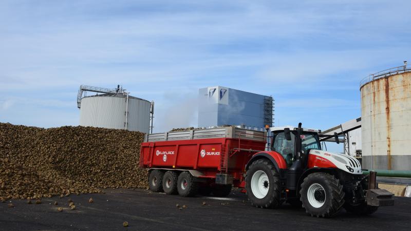 De Tiense Suiker kreeg op dinsdagochtend 28 september de eerste bieten aangeleverd van haar 185ste campagne.