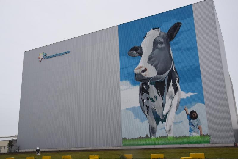 Je kunt niet naast FrieslandCampina-vestiging in Aalter kijken. Een gigantische koe op de gevel verwelkomt je.