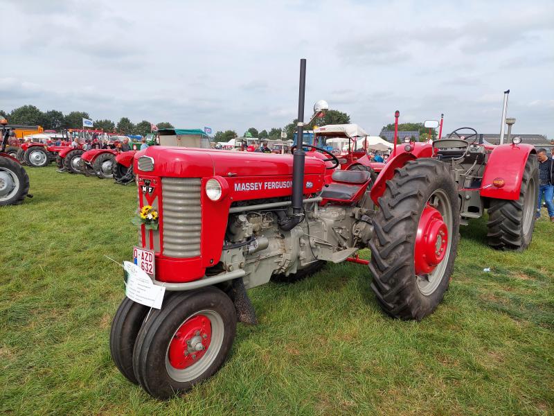 Deze Massey Ferguson 65 Rowcrop uit 1958 behaalde een BOTA-prijs.