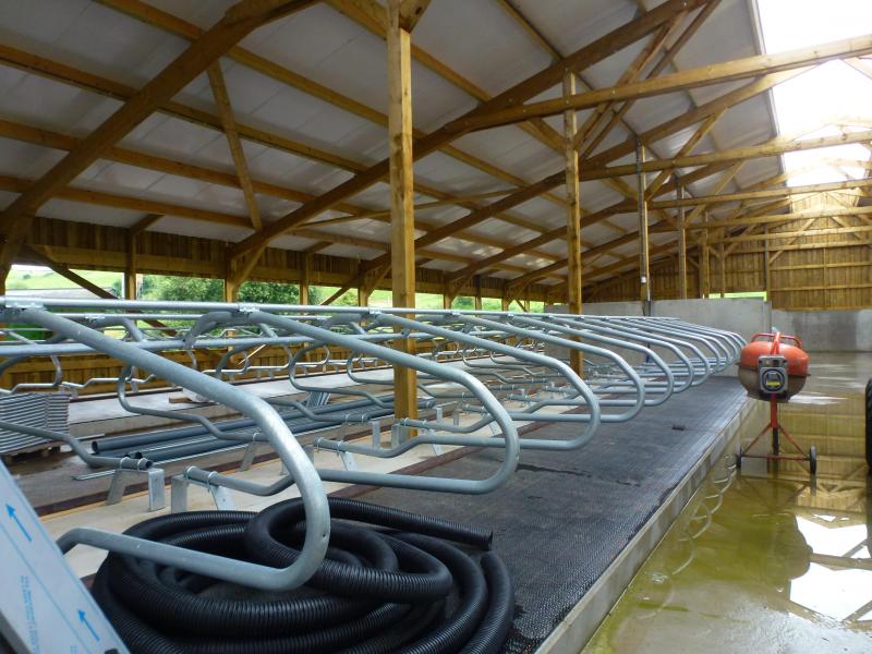 De nieuwe stal telt 80 ligboxen voor de drachtige vaarzen en koeien. De stapel zal de  komende jaren groeien naar 70 tot 75 dieren.