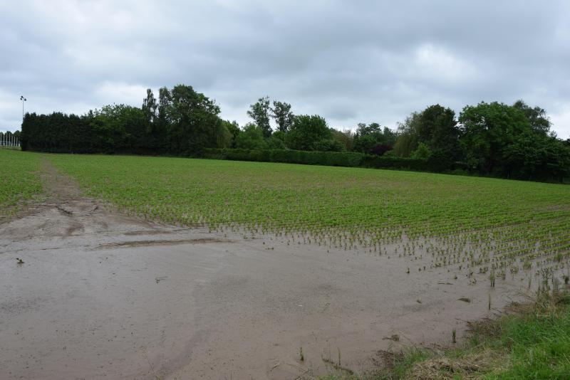 Door overtollige regenval kan vruchtbare bodem afspoelen.