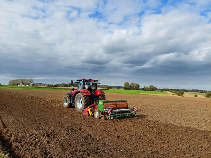 Hoge graanprijzen leidden vaak tot een hogere uitzaai en tot hogere producties het jaar nadien, waardoor de prijs nagenoeg steeds vrij snel een terugval kent.