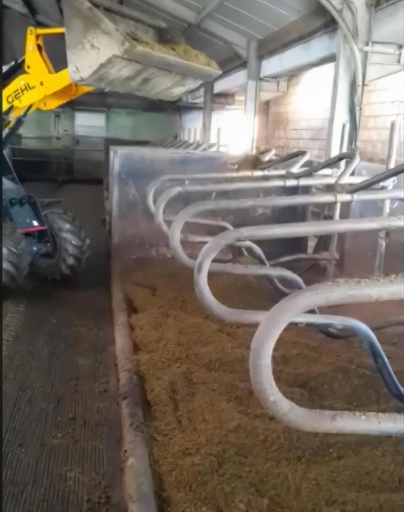 Het instrooien van de boxen met een kniklader.