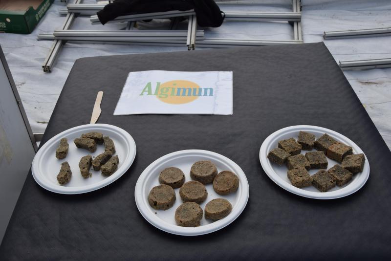 Koekjes  waarin algen verwerkt zijn.