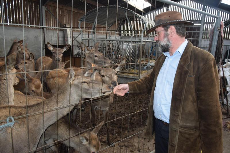 “Als ik hier sta met een emmer lijnzaad en daar even mee rammel, dan komen ze wel snel langs”, vertelt Marc.