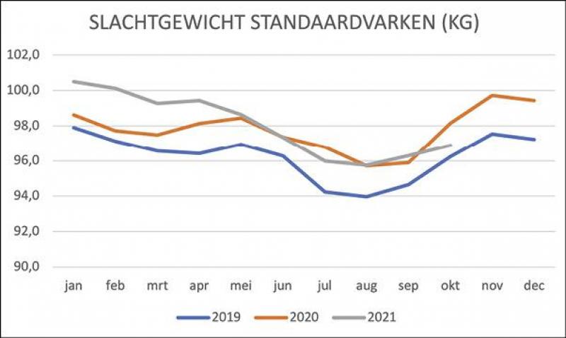 Figuur 3: Gemiddeld slachtgewicht standaard varkens 2019-2020-2021 in lijn.
