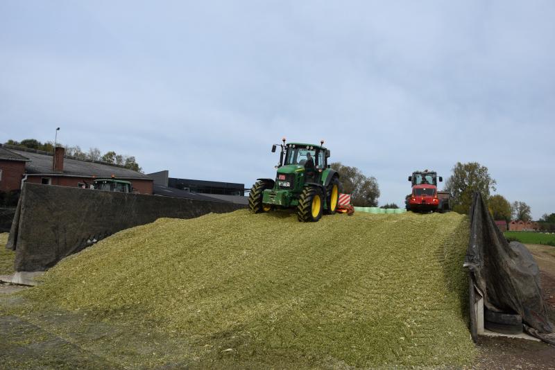 De maïskuil aanrijden is makkelijker als het drogestofpercentage bij de oogst minder dan 38 % is.