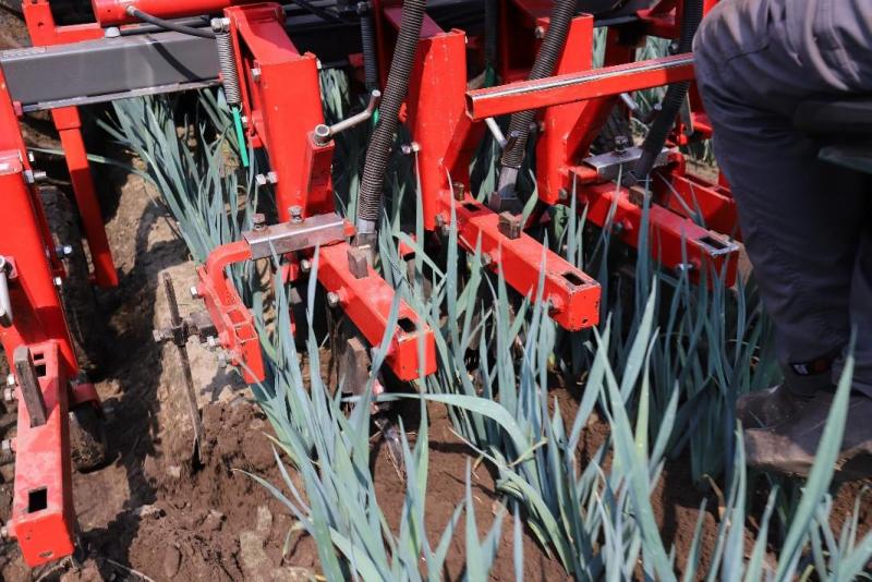 In de vroege prei bij Frans en Wouters werd tijdens het schoffelen de startbemesting gecombineerd met bijbemesting.