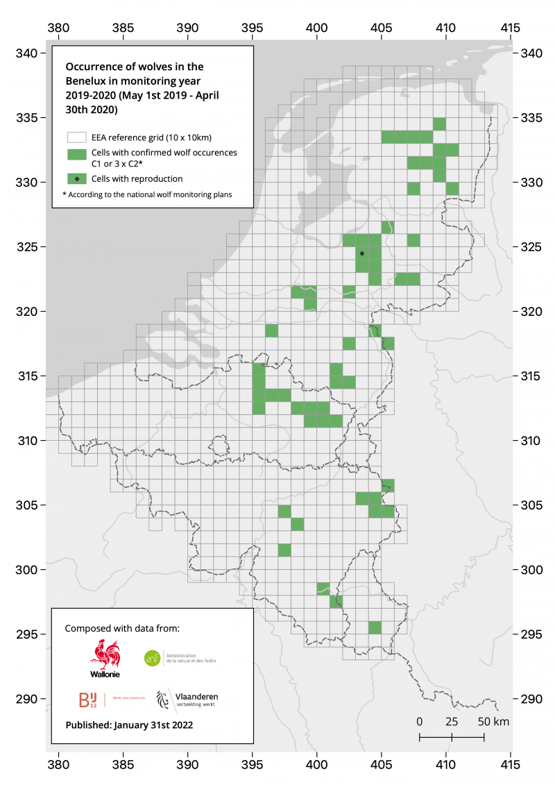 Verspreiding wolf in de Benelux 2019 – 2020.