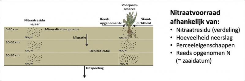 Figuur 1: schema samenstelling nitraatvoorraad