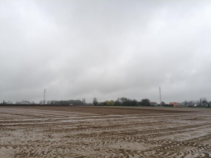 Na de aanleg van het valse zaaibed viel er 20 l neerslag /m 2 , die opnieuw een uitdaging vormde voor de verdere zaaibedbereiding en voor de zaai.