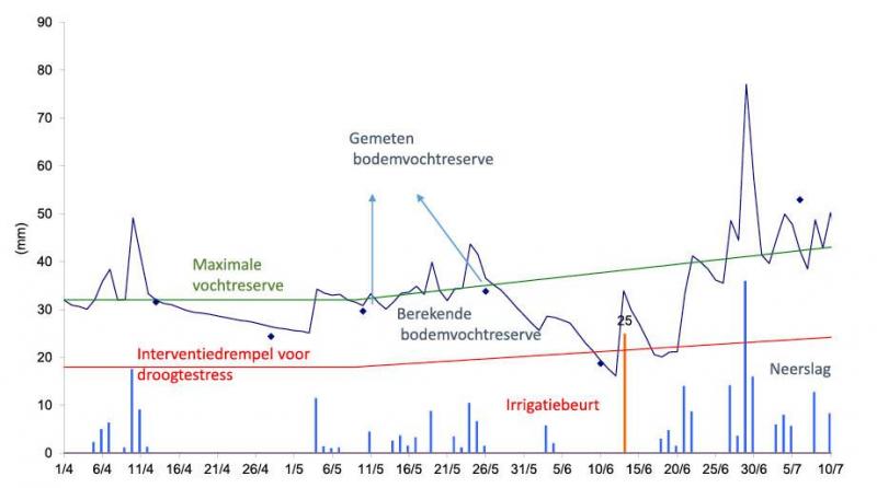 Figuur 1: Vochtverloop berekend met de bodemwaterbalans op een perceel zaaiui te Kinrooi. In 2021 was tot midden juni nog maar 1 irrigatiebeurt nodig.