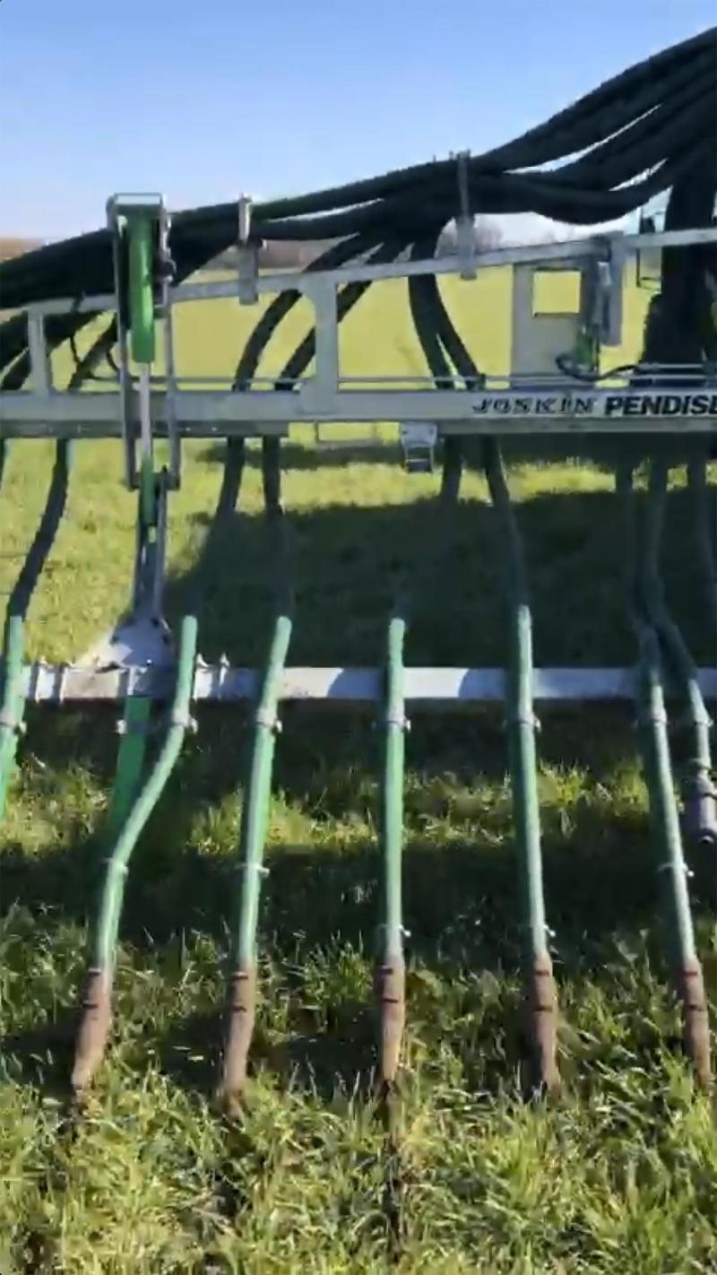 De  sleepvoetbemester verdeelt de  drijfmest mooi in de jonge  wintergerst.