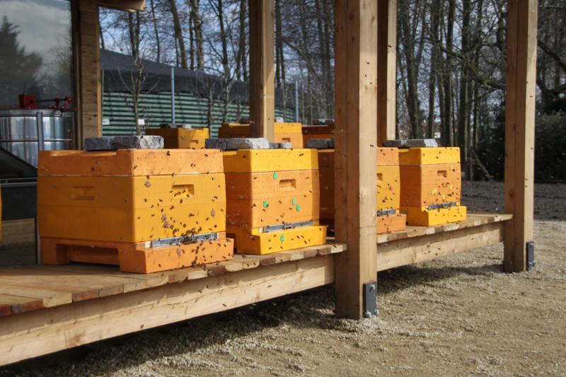 PTI Kortrijk is de enige secundaire school in Vlaanderen die participeert in het project van Arista Belgium om bijenvolken met varroaresistentie te kweken.